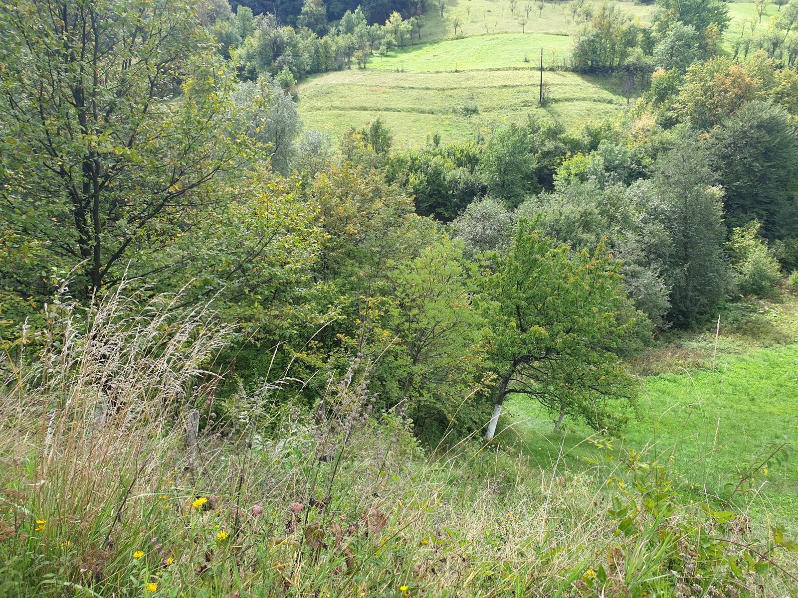 Etos Nekretnine, zemljište, kuće, Vitez, Zenica, prodaja