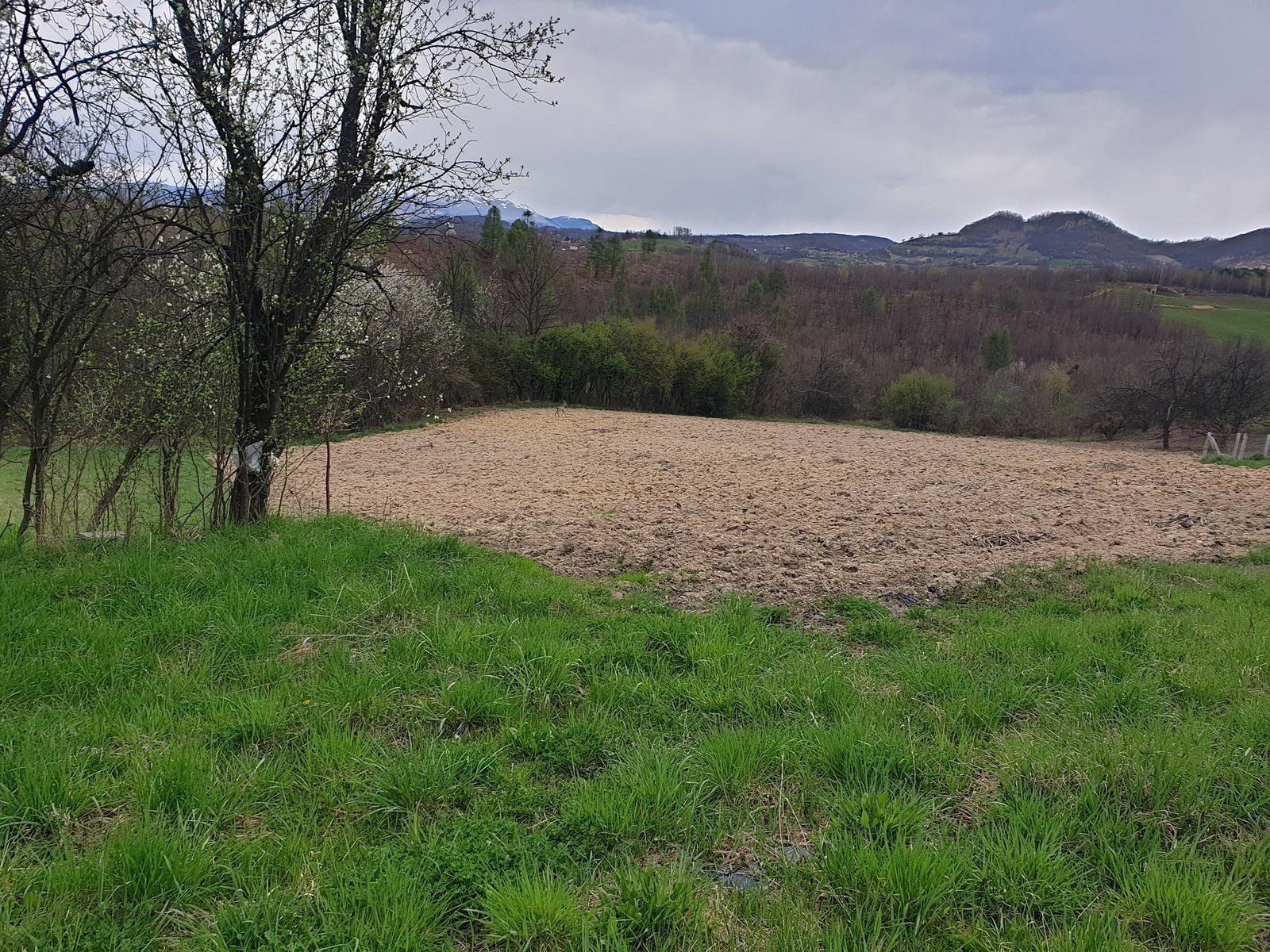 prodaja, imanje, zemljište, kuća, Etos Nekretnine