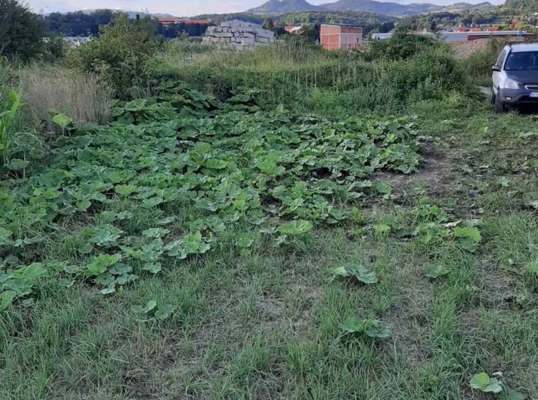Etos Nekretnine, prodaja, zemljište Vitez, Rijeka